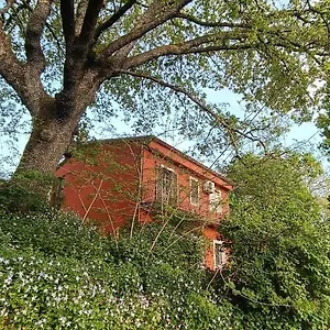 Kikina Bed & Breakfast Austis